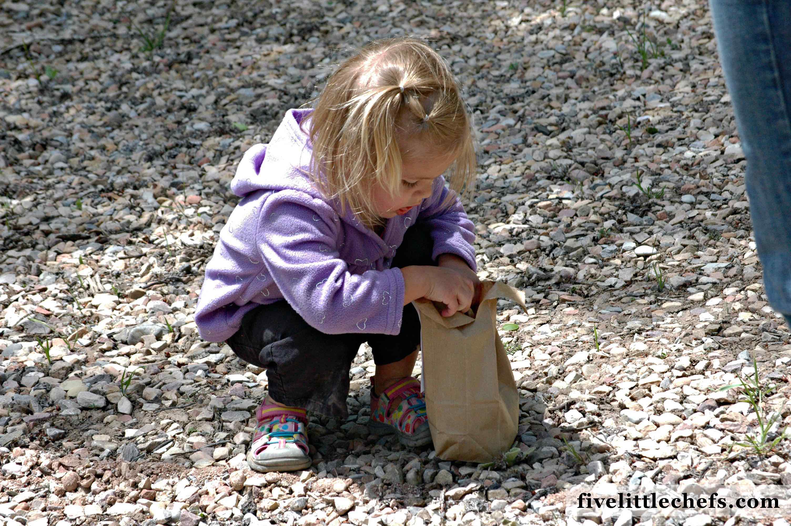 Little Explorers